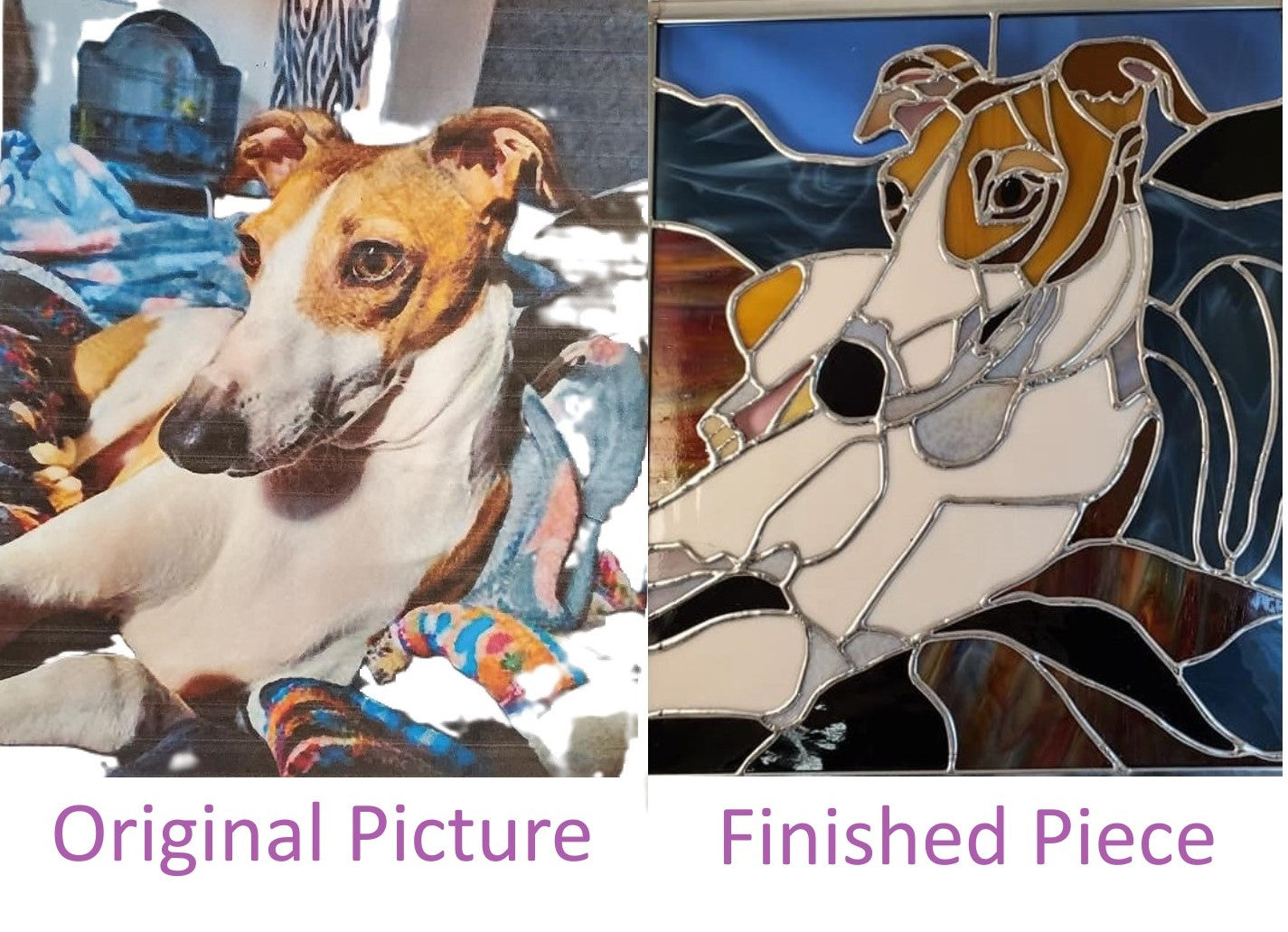 Pet Portraits Commissions